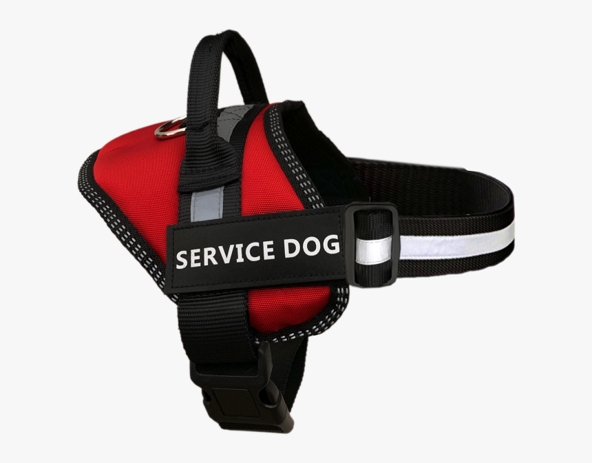 Service Dog Png