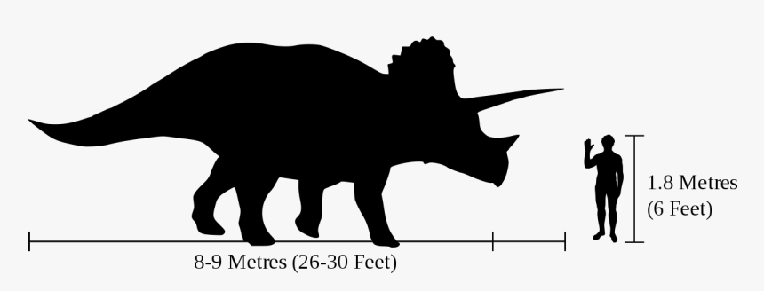 Triceratops Information