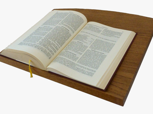 Bible Here School Education God - Novel