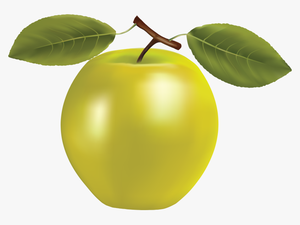 Fruit Icon Realistic