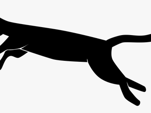 Domestic Short-haired Cat Kitten Download Jumping - Running Black Cat Clipart