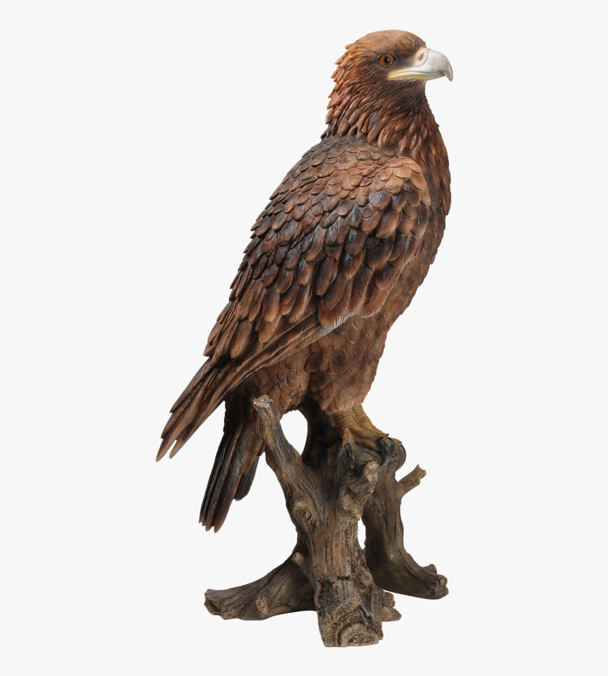 Small Pictures Of Golden Eagles