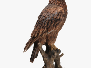Small Pictures Of Golden Eagles