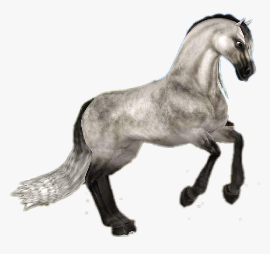 #starstableonline #starstable #sso #horse #andalusian - Star Stable Andalusian Png