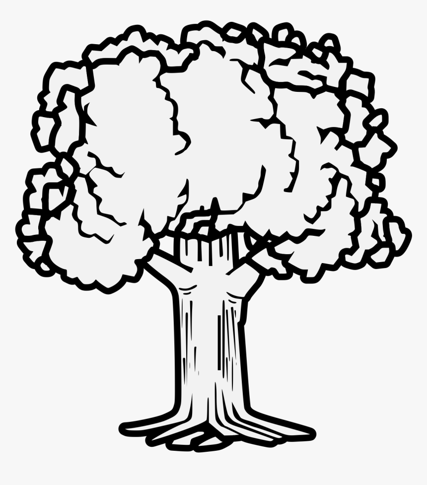 Coat Of Arms Trees