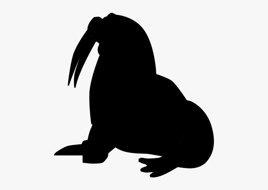 Walrus Png Image With Transparent Background - Illustration