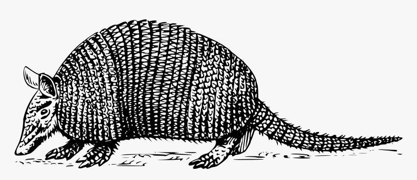 Armadillo Png Black And White - 