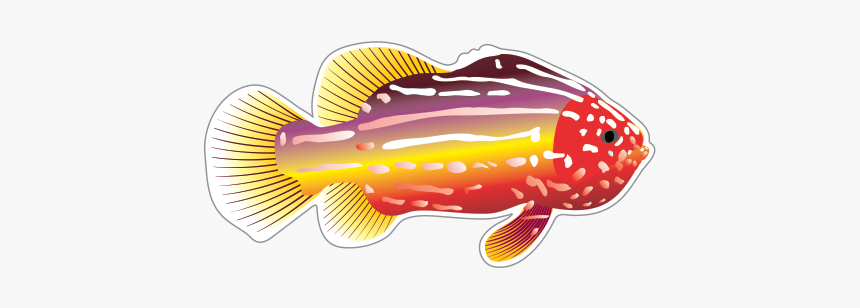 Fish Drawing Clip Art - Transparent Background Fish Swimming Gif