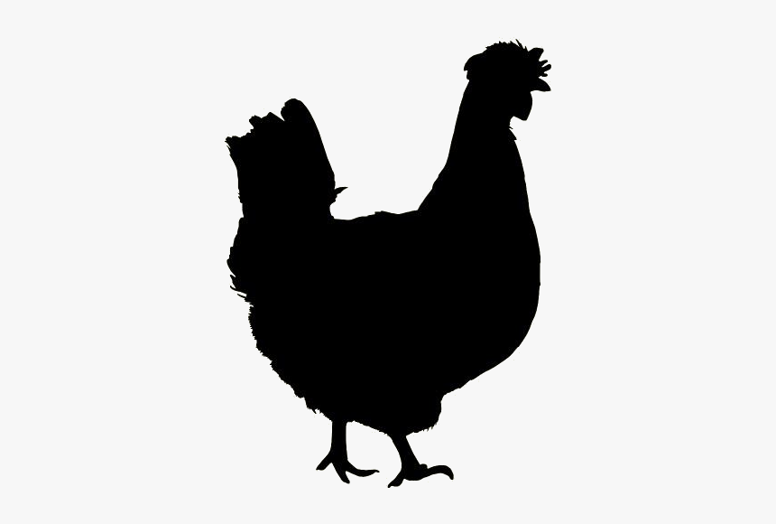 Chicken Png Free Clipart - Chick