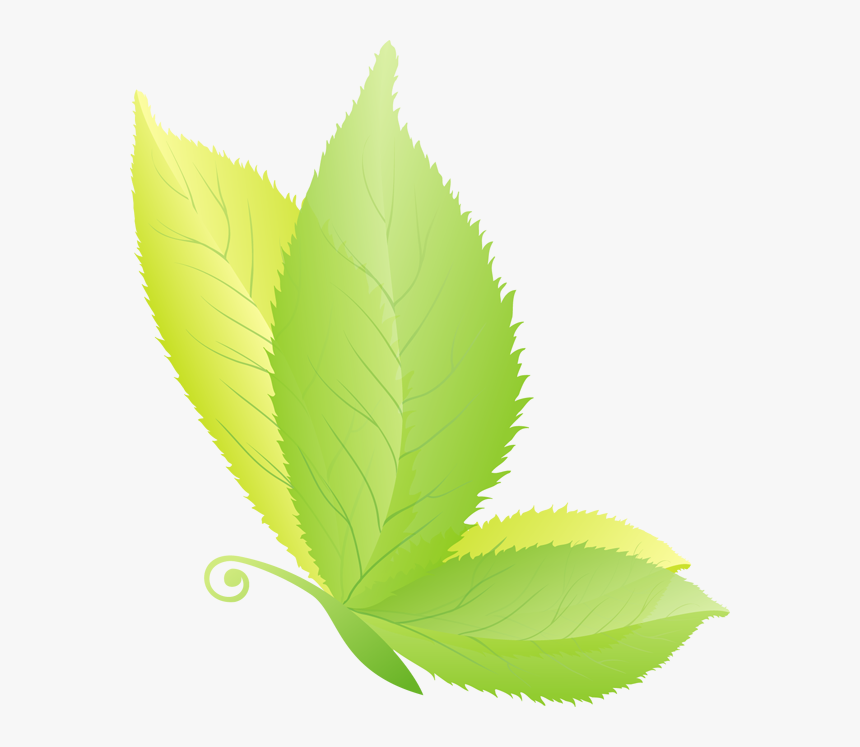 Butterfly On A Leaf Png - Illustration
