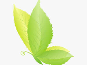 Butterfly On A Leaf Png - Illustration