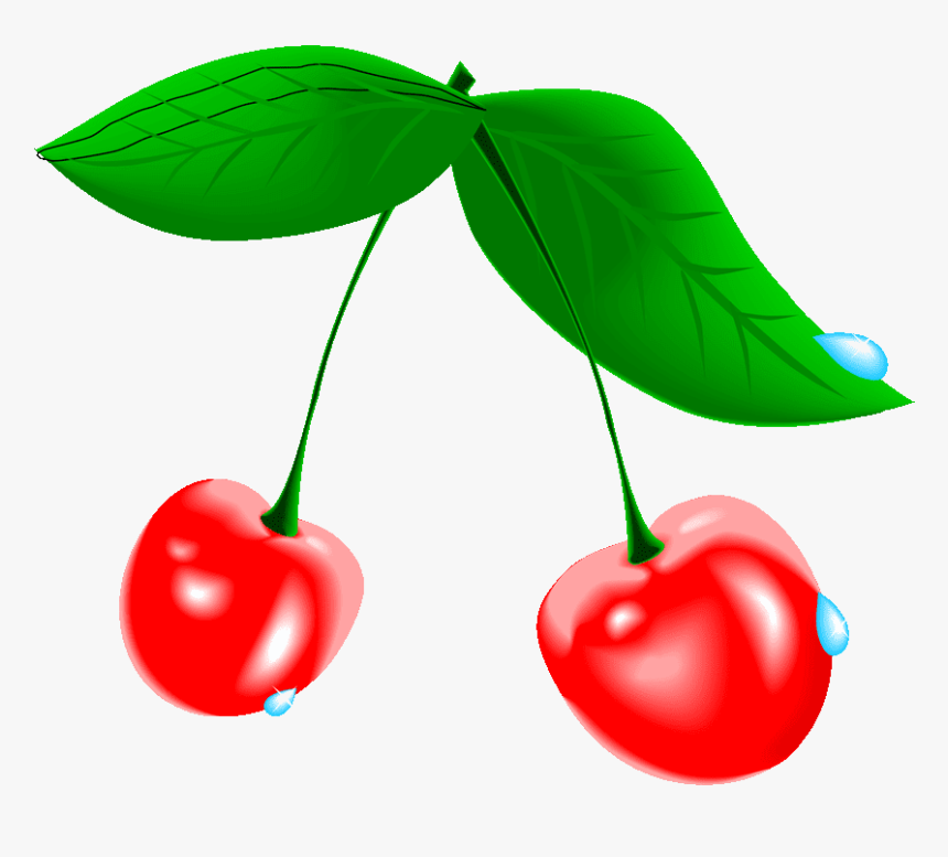 Cherry Tree Clipart At Free For Personal Transparent - Cherry Blossom Fruit Png