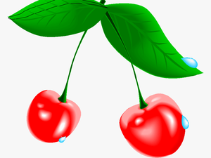 Cherry Tree Clipart At Free For Personal Transparent - Cherry Blossom Fruit Png
