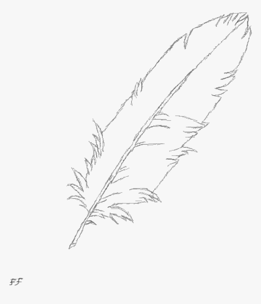 Transparent Feather Duster Png -