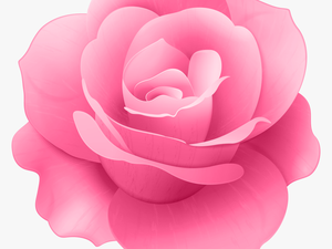 Pink Rose Flower Clip Art Image
