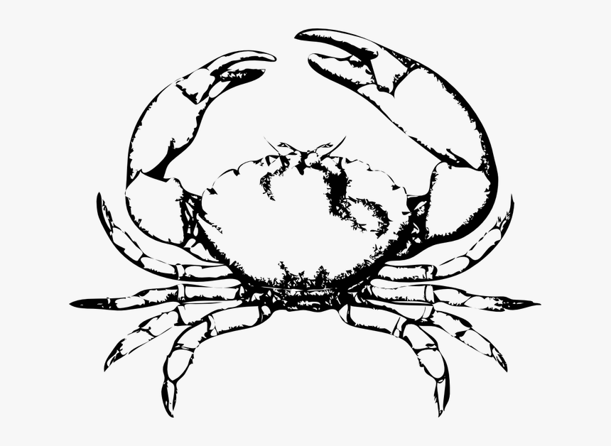 Crab Frames Illustrations Hd - Black And White Crab