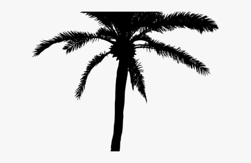 Palm Tree Silhouette Png - Palm Tree Vector Png