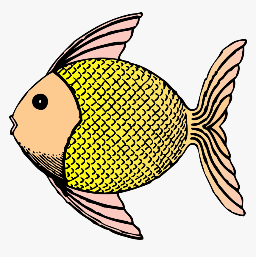 Tropical Fish Clipart - Scales O