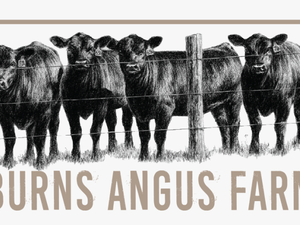 Burns Angus Farm Logo - Cow Fabric Quilt Panel