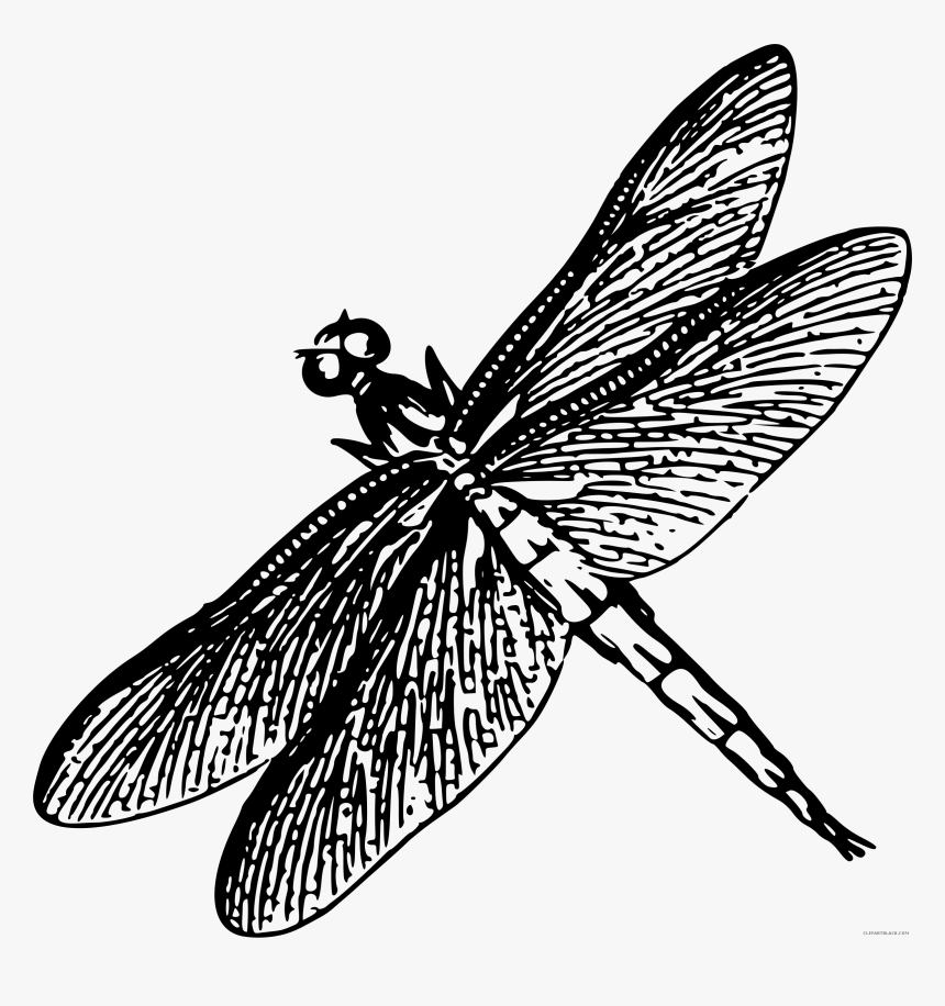 Transparent Dragonfly Silhouette Png - Drawing Of Dragonfly Black And White
