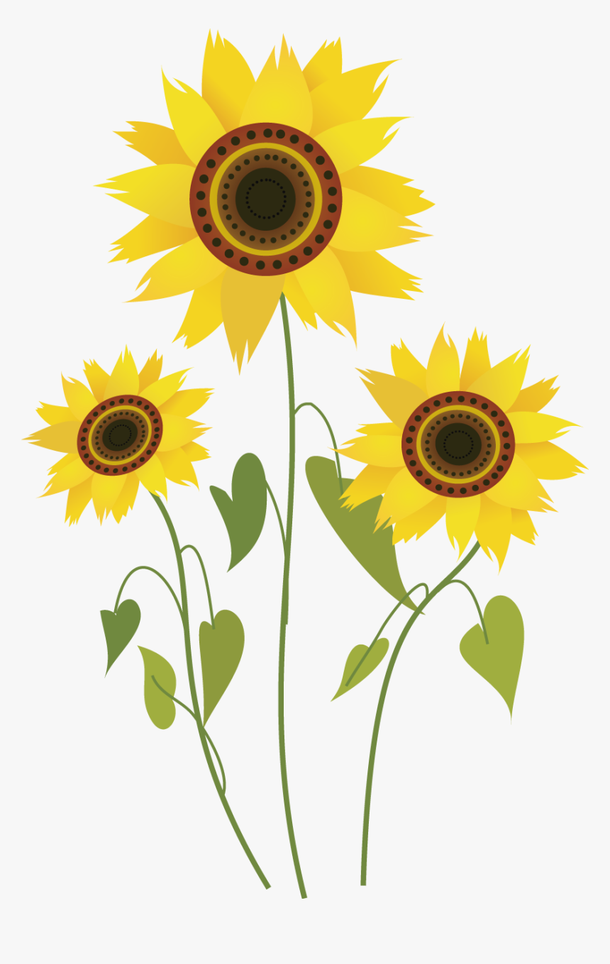 Common Sunflower Drawing Computer File - Sunflower Drawing