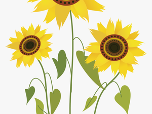 Common Sunflower Drawing Computer File - Sunflower Drawing