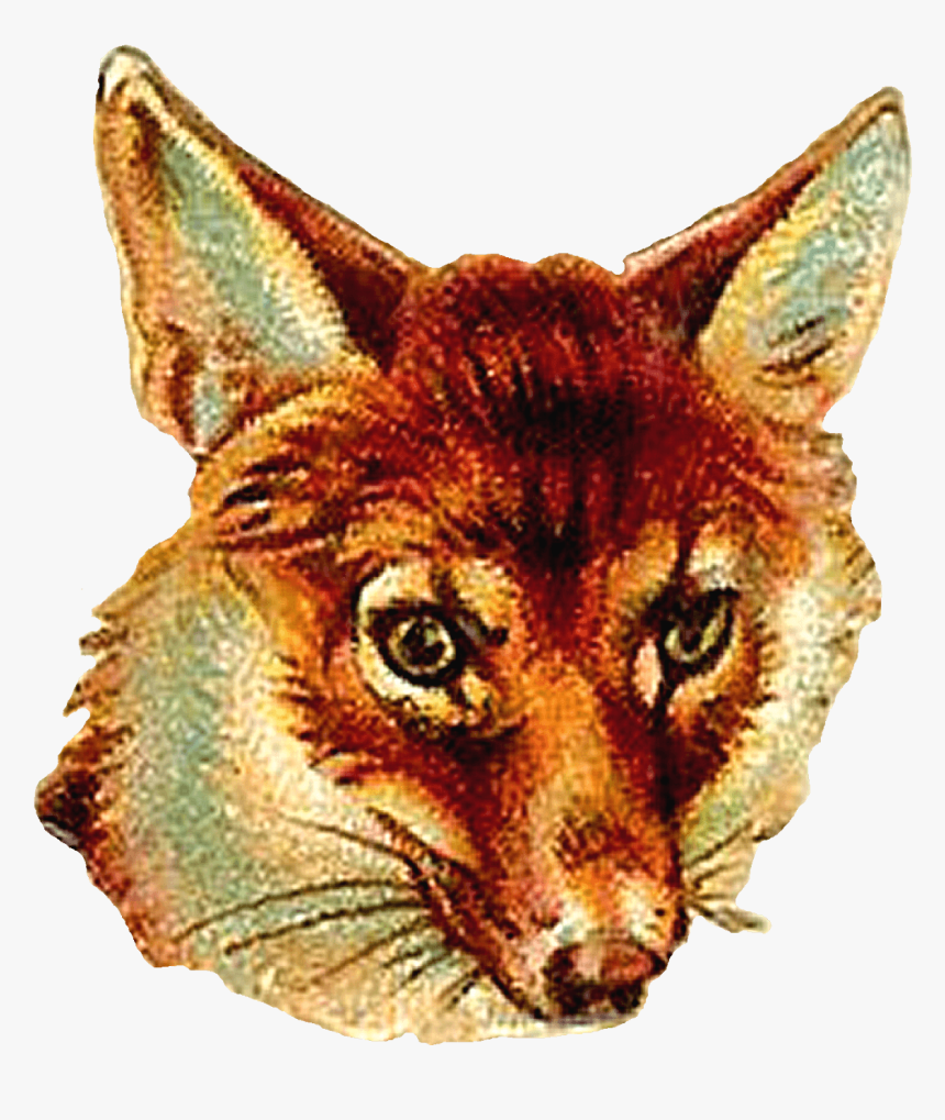 Transparent Vintage Animal Clipart - Vintage Fox Images Free To Use