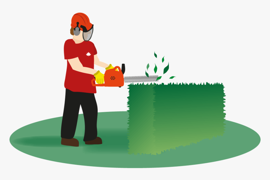 Hedges Clipart Hedge Trimming - Hedging Clipart