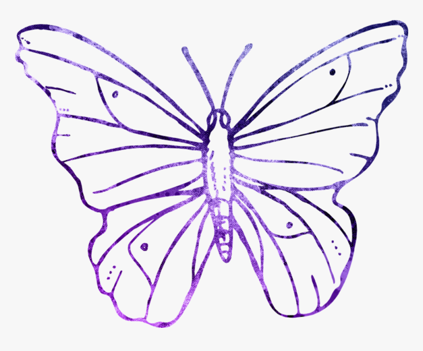 Purple Butterfly Outline - Anima