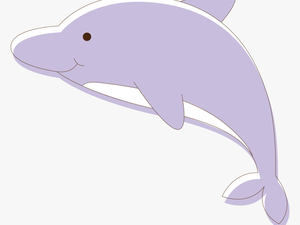 Dolphin Clipart Vector - Common Bottlenose Dolphin