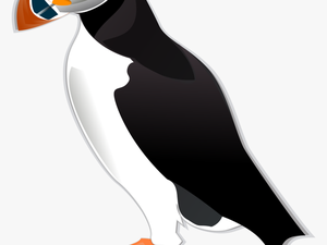 Atlantic Puffin Png - Puffin Clipart