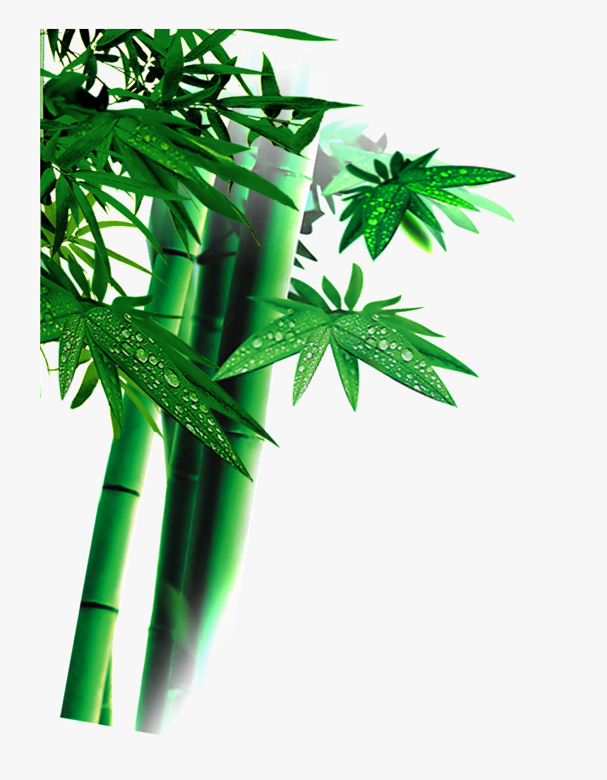 Beautiful High Definition Green Bamboo Leaves Png - Bamboo