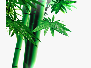 Beautiful High Definition Green Bamboo Leaves Png - Bamboo