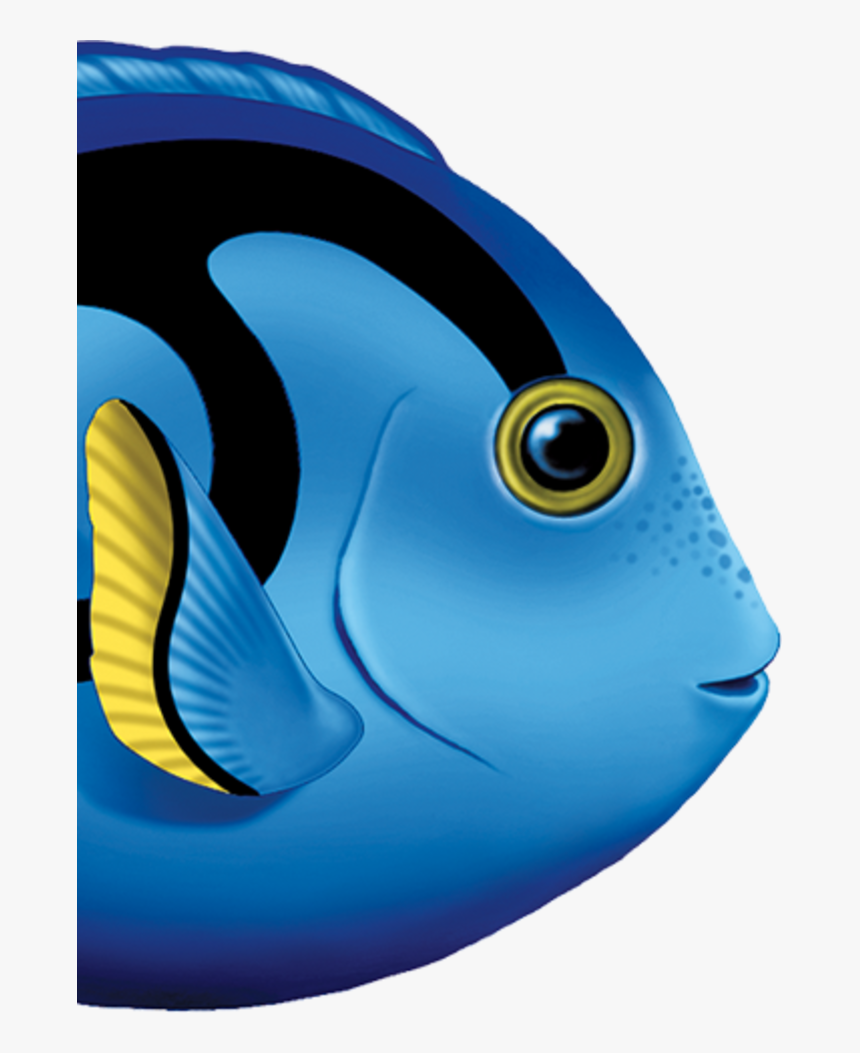 Blue Tang Fish Clipart