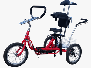 Special Needs Tricycle - Tricycle