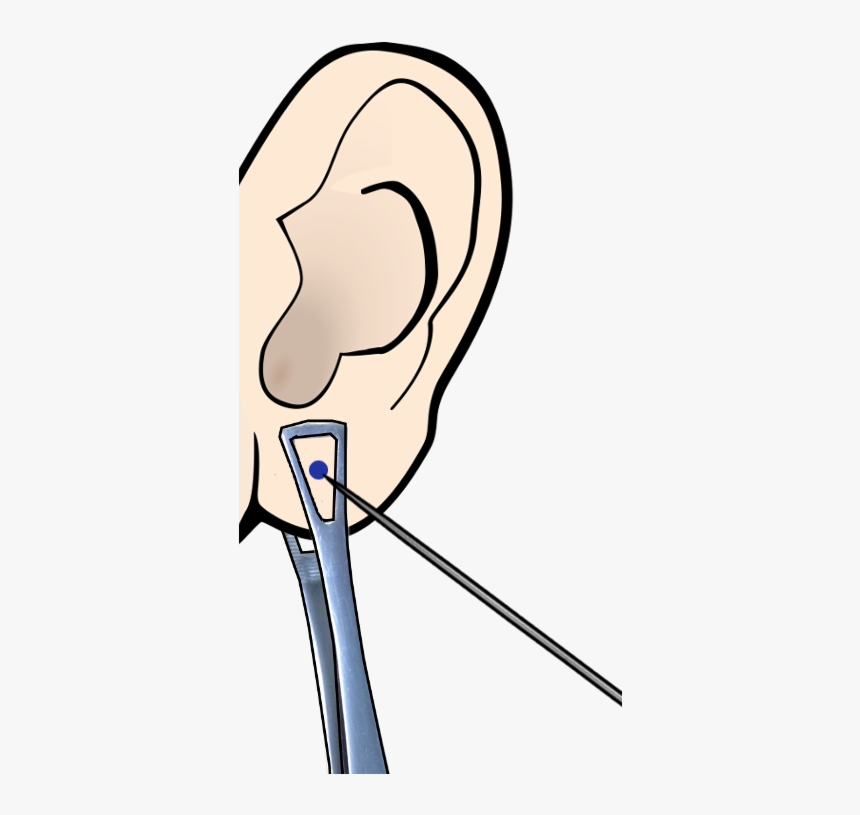 Ear Piercing Clipart Image Transparent Free Png - Ear Transparent Piercing Png