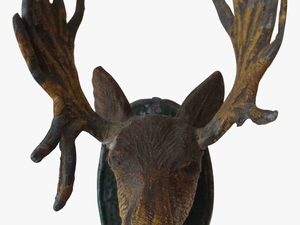 Moose Head Png - Moose Head Transparent Background