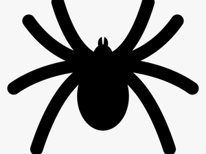 Spider Icon Svg
