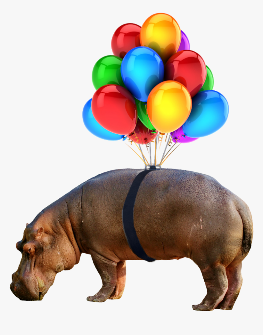 #hippo #nobackground #png #balloon