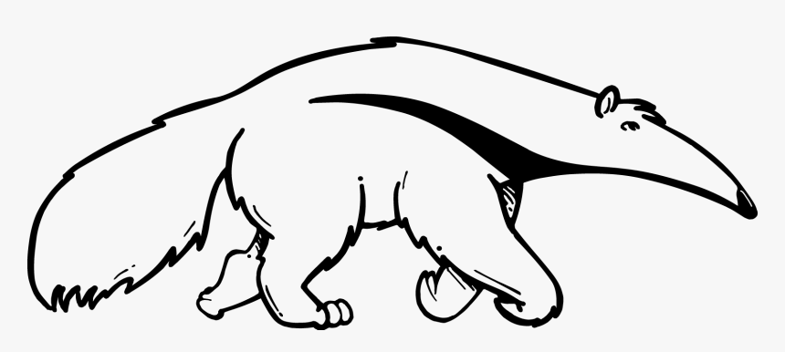 Cats Vector Cat Outline - Anteater Black And White