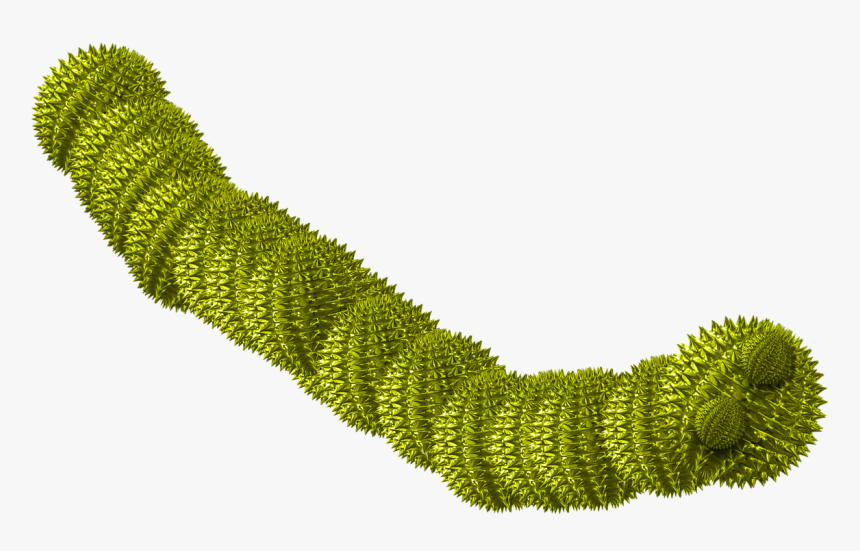 Worm Green Spiky - Worm Virus Computer Worm Png