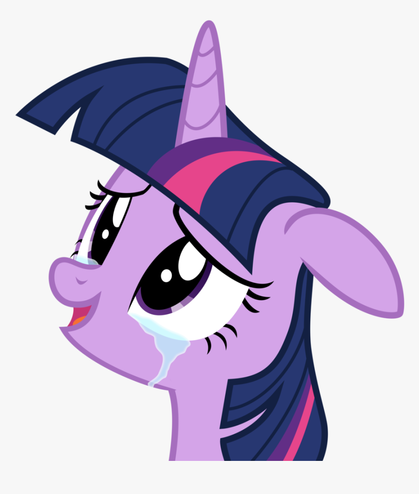 Twilight Sparkle Is Crying