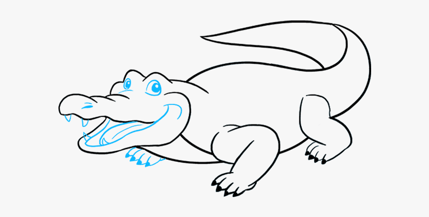 How To Draw An Alligator - Drawi