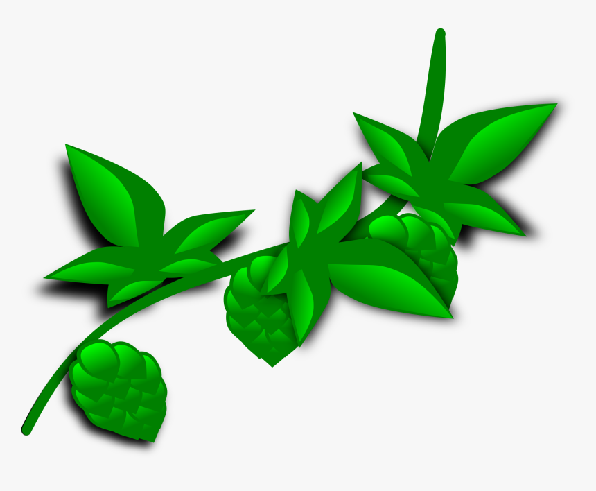 Jungle Vine Png - Plant Clip Art