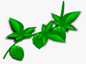 Jungle Vine Png - Plant Clip Art