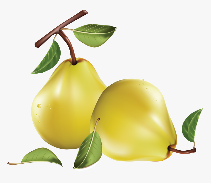 Pear Png Image - Pears Free Clip