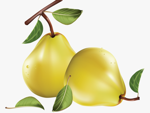 Pear Png Image - Pears Free Clip Art