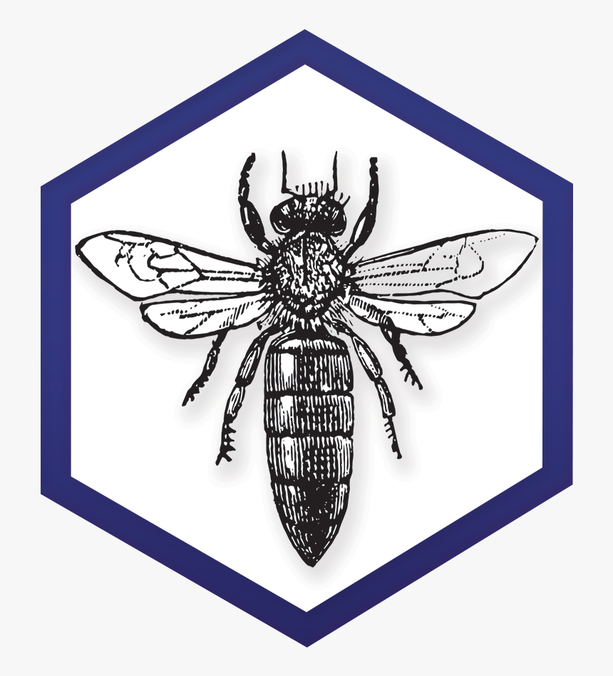 Ny Bee Wellness Workshops Logo -