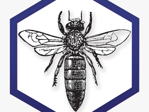 Ny Bee Wellness Workshops Logo - Bee Queen Vintage Illustration