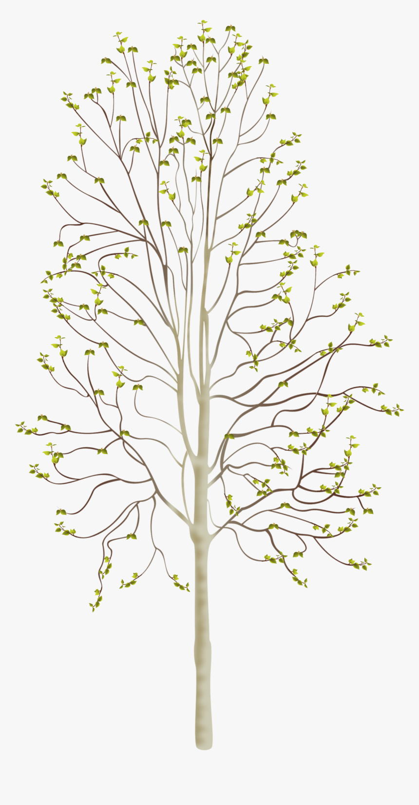 Transparent Tree Of Life Vector Png - Plants